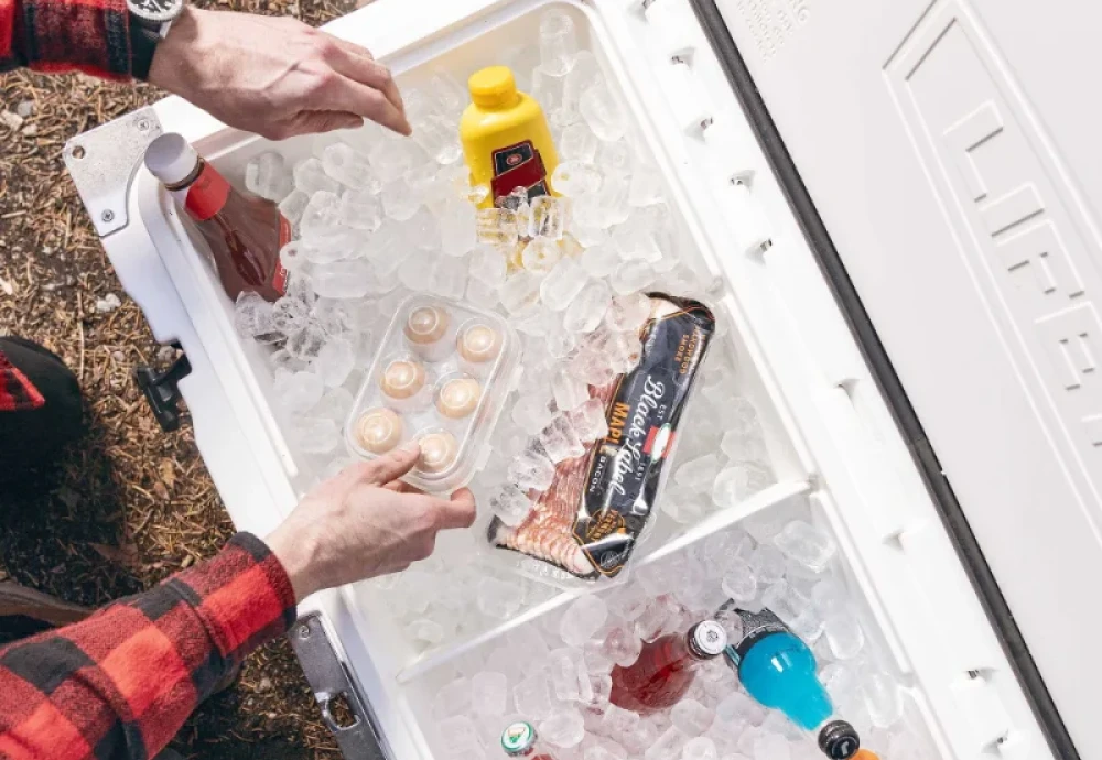 ice cream cooler box