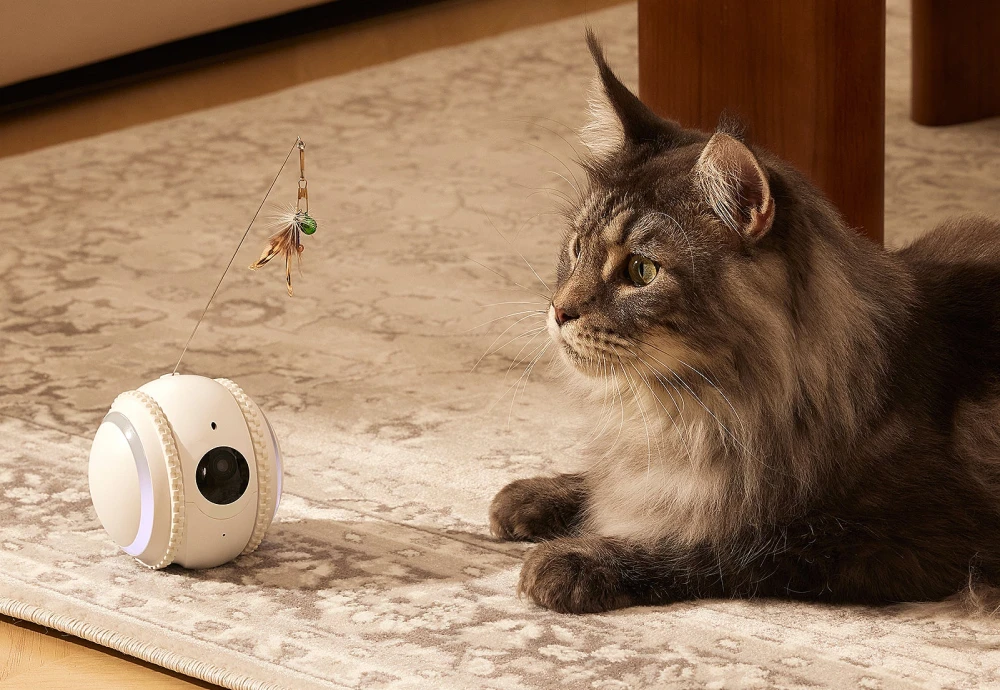 camera to watch pets